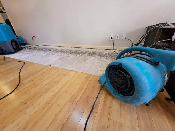 Professional Emergency Water Damage technician working in Pettisville, OH